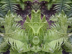 FxCam_1273432165387