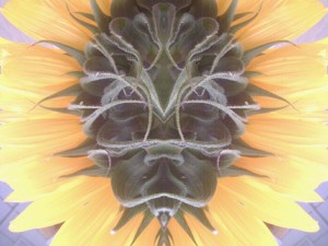 IMG_1800